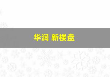 华润 新楼盘